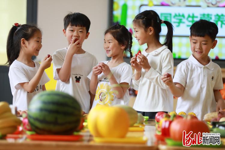 河北：普及营养知识 科学健康饮食(图2)