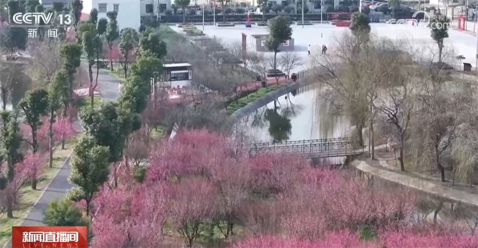 美食、美景、“人间烟火” 春暖花开万物复苏 踏青ayx爱游戏赏景正当时(图2)