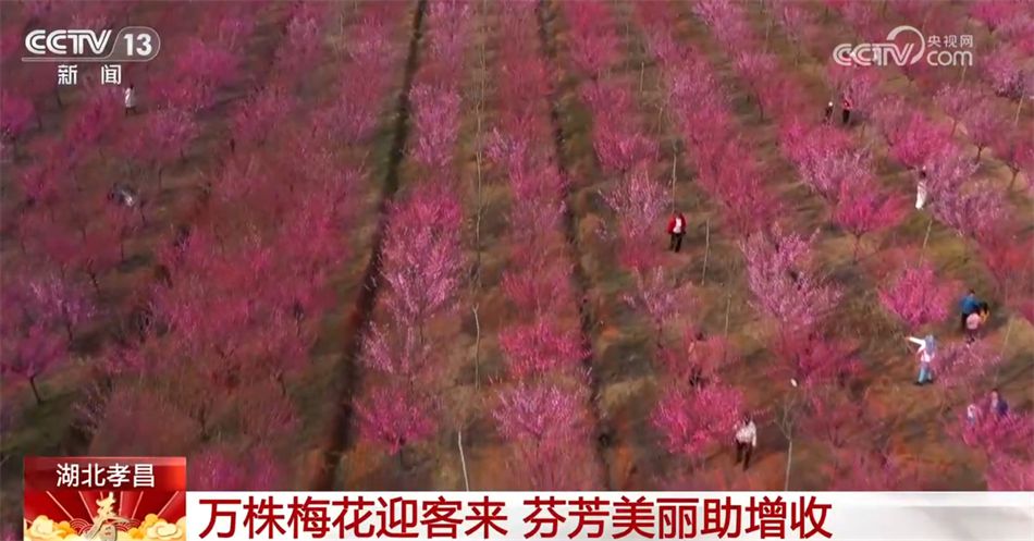 美食、美景、“人间烟火” 春暖花开万物复苏 踏青ayx爱游戏赏景正当时(图3)