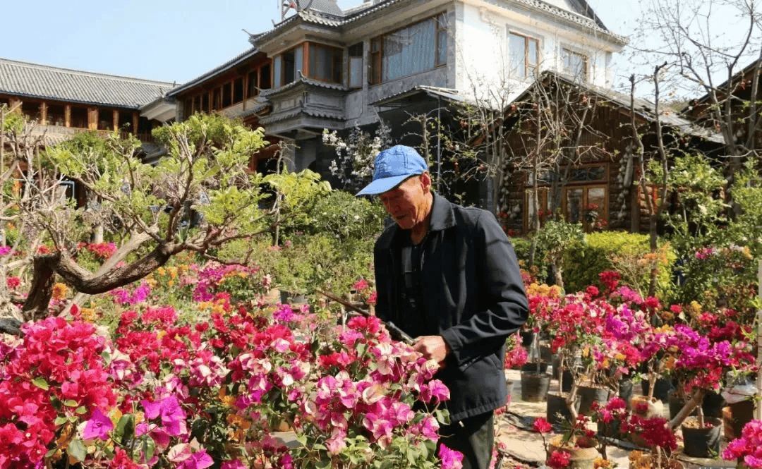 来巍山小吃节东莲花分会场开启一场“开胃”之旅(图3)